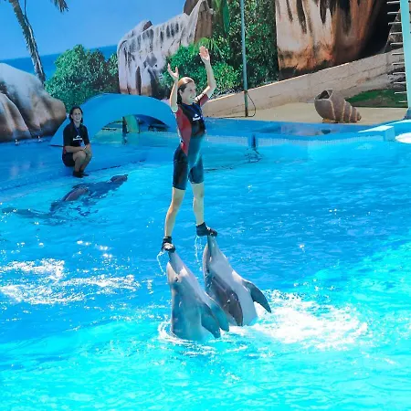 Apartmán Luxury 1 Bedroom Apartment, Marina De