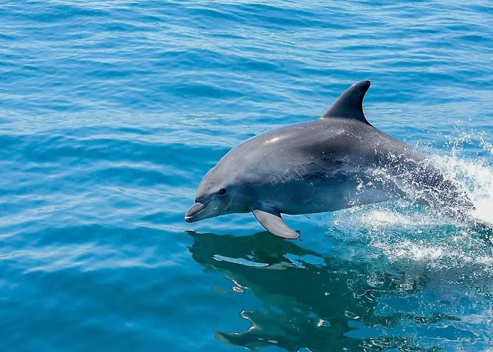 Luxury 1 Bedroom Apartment, Marina De Lejlighed *